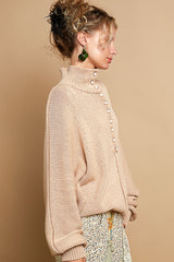 Pearl Detail Turtleneck Long Sleeve Sweater POL