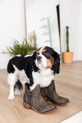 Nailed It Studded Ankle Boot in White Naughty Monkey   