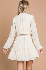 Swiss Dot Smock Neck Mini Dress with Pockets Culture Code   
